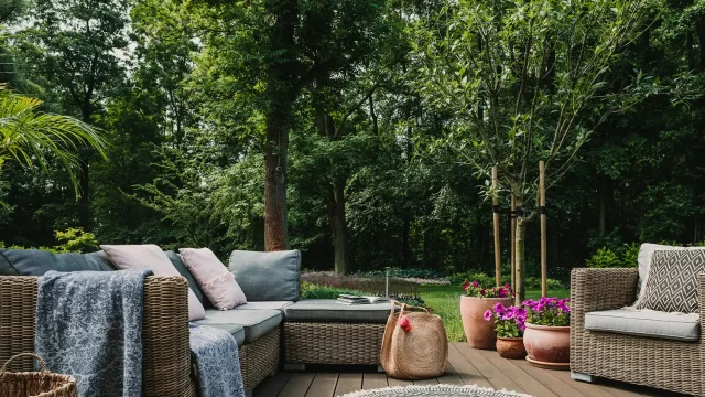 Home Decor and Garden