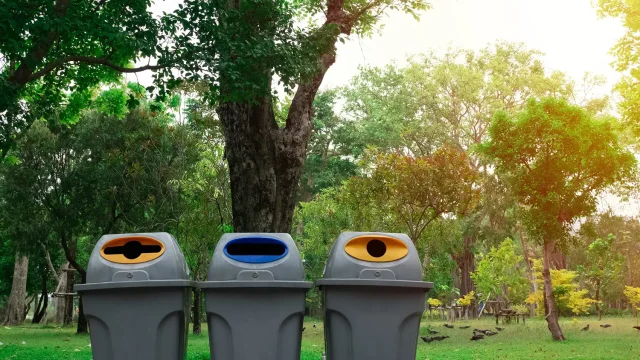 Waste Management