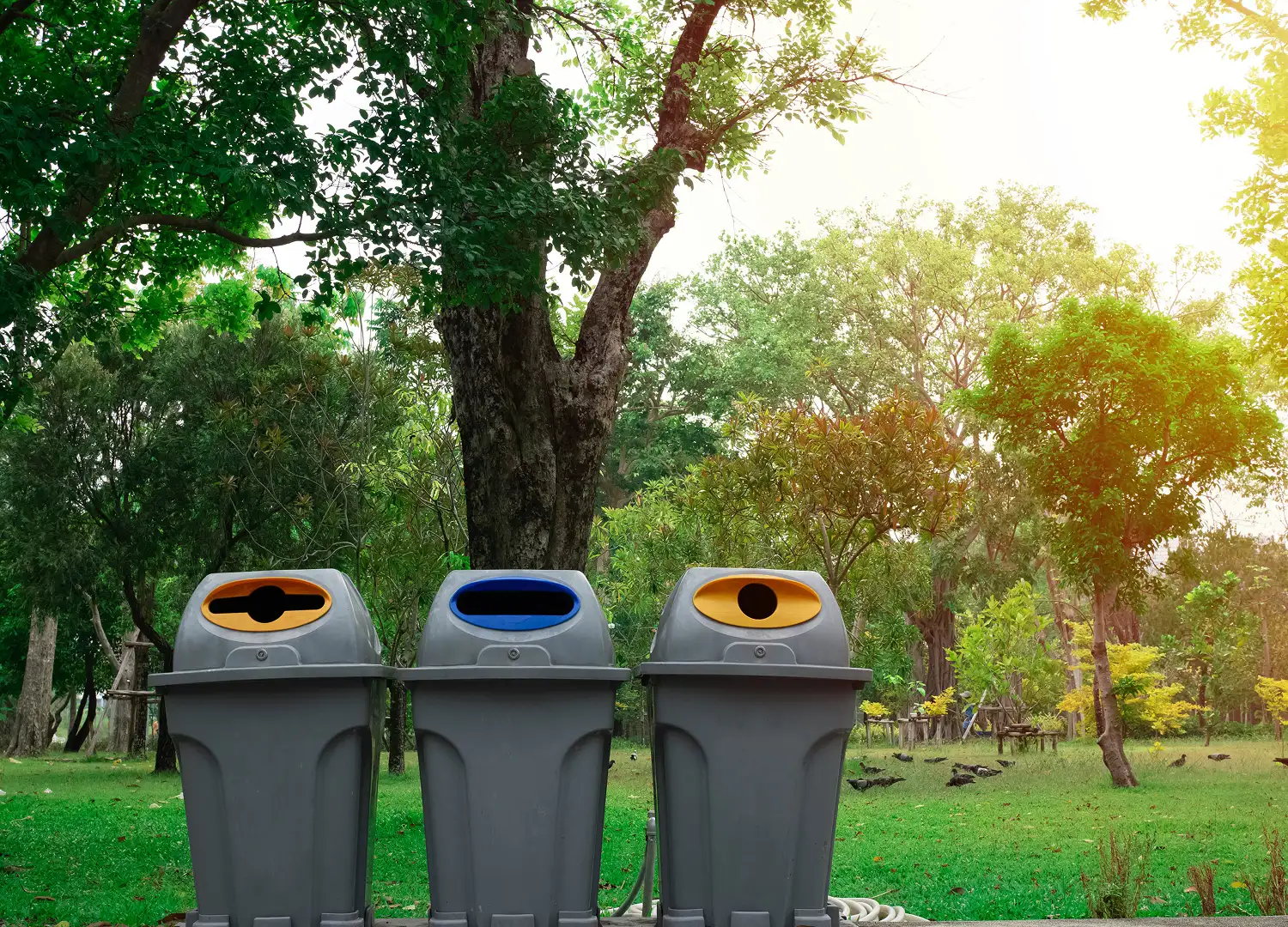 Waste Management